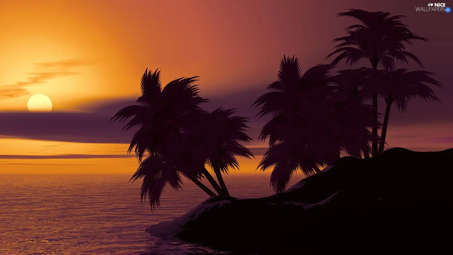 Palms, Great Sunsets, sea