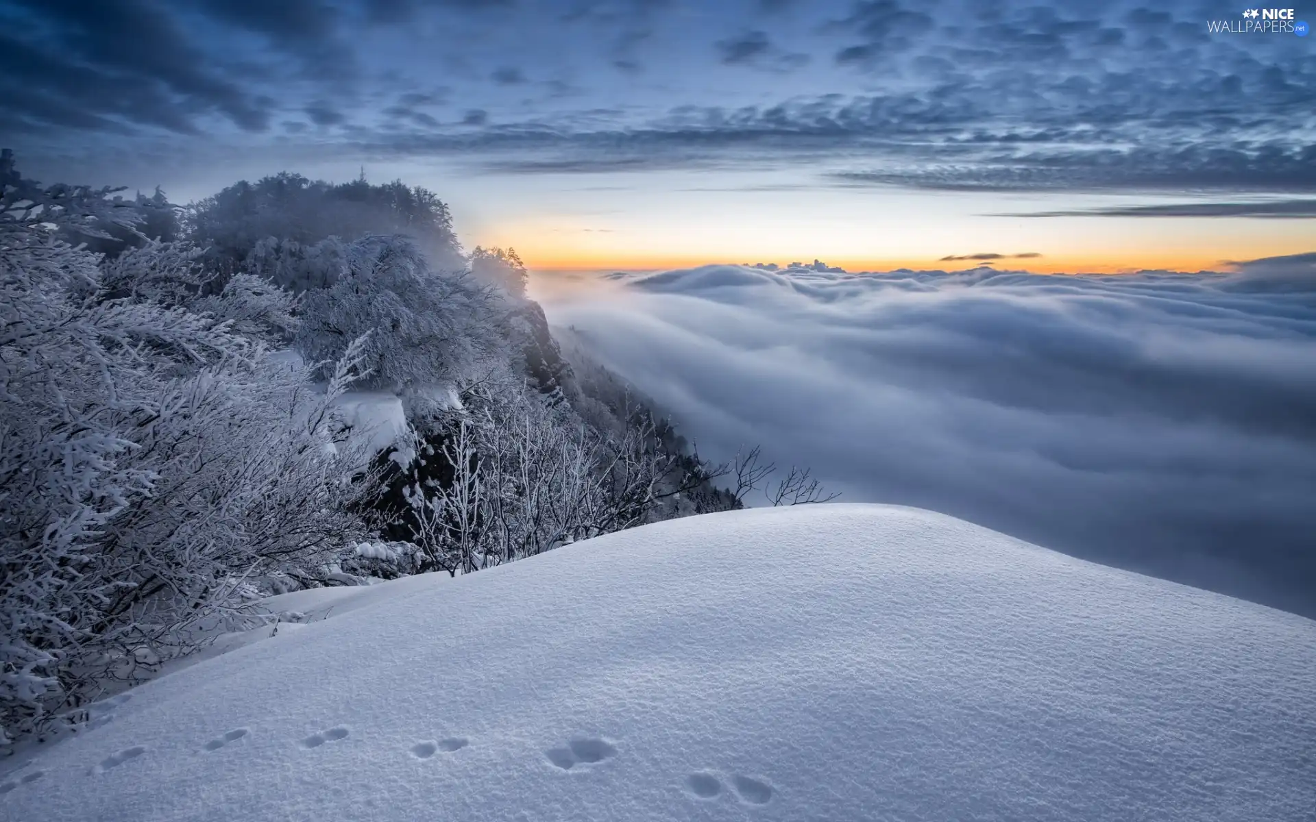 snow, winter, Mountains, Snowy, Great Sunsets, clouds, viewes, Fog, trees