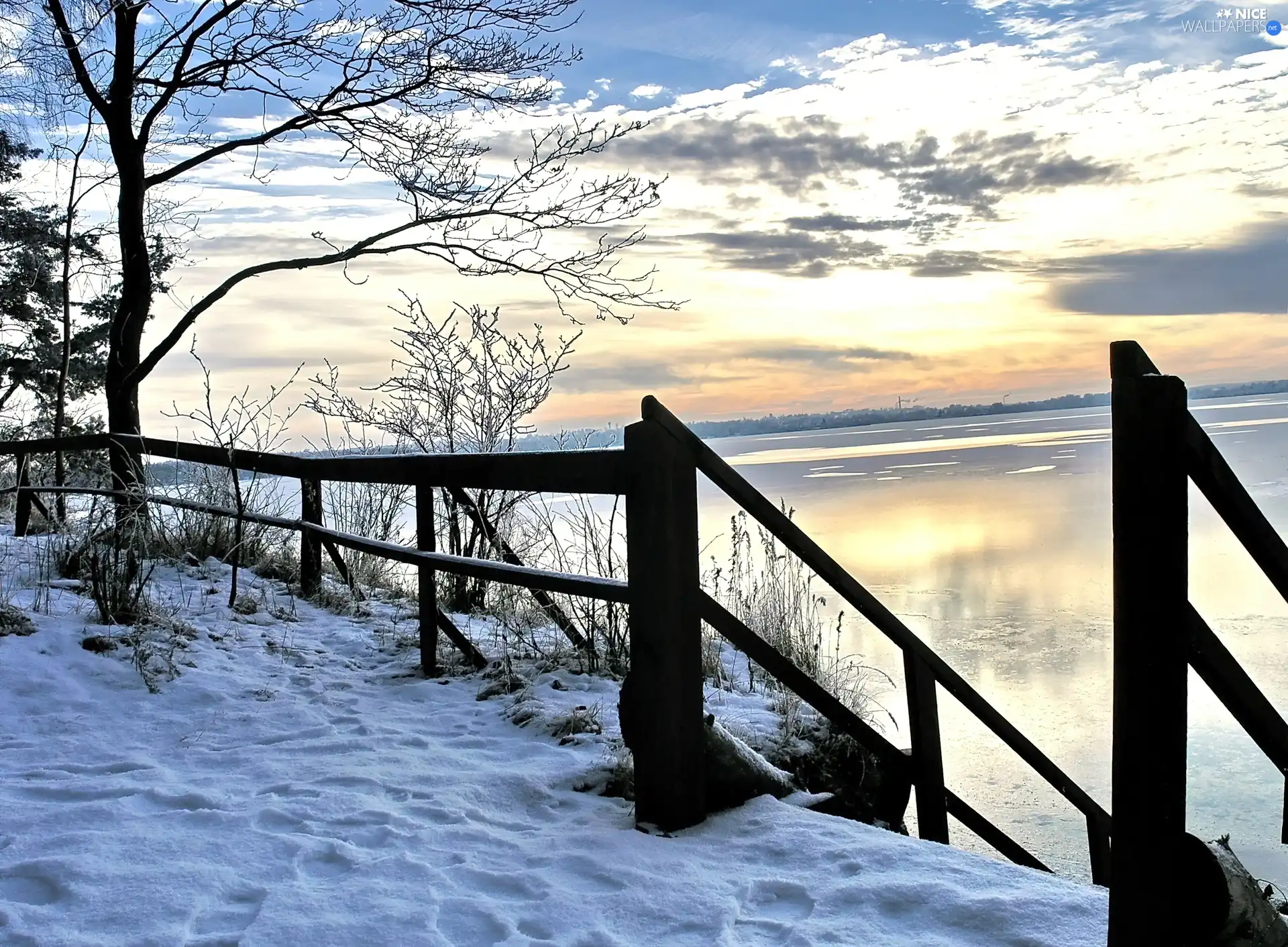 lake, trees, snow, fence