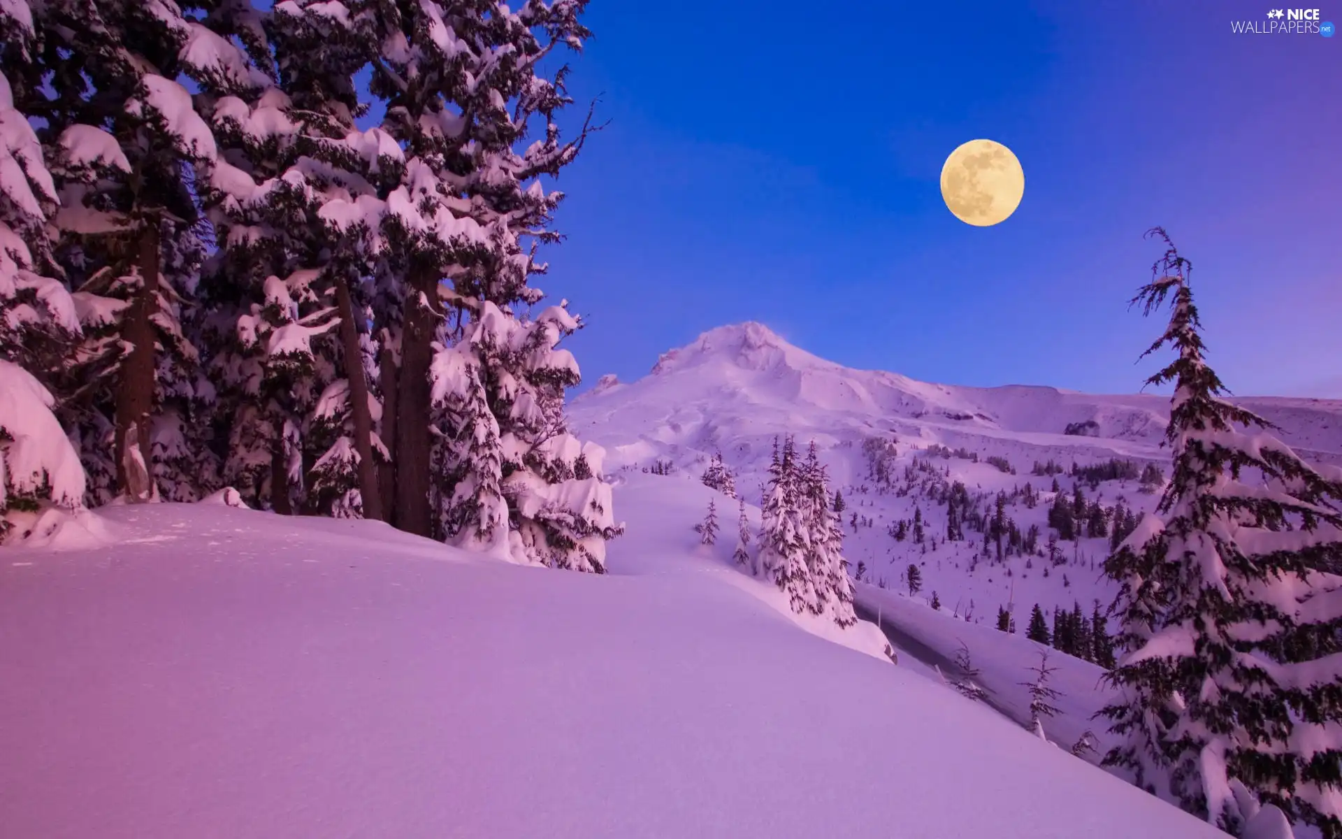 viewes, Mountains, snow, moon, Covered, trees