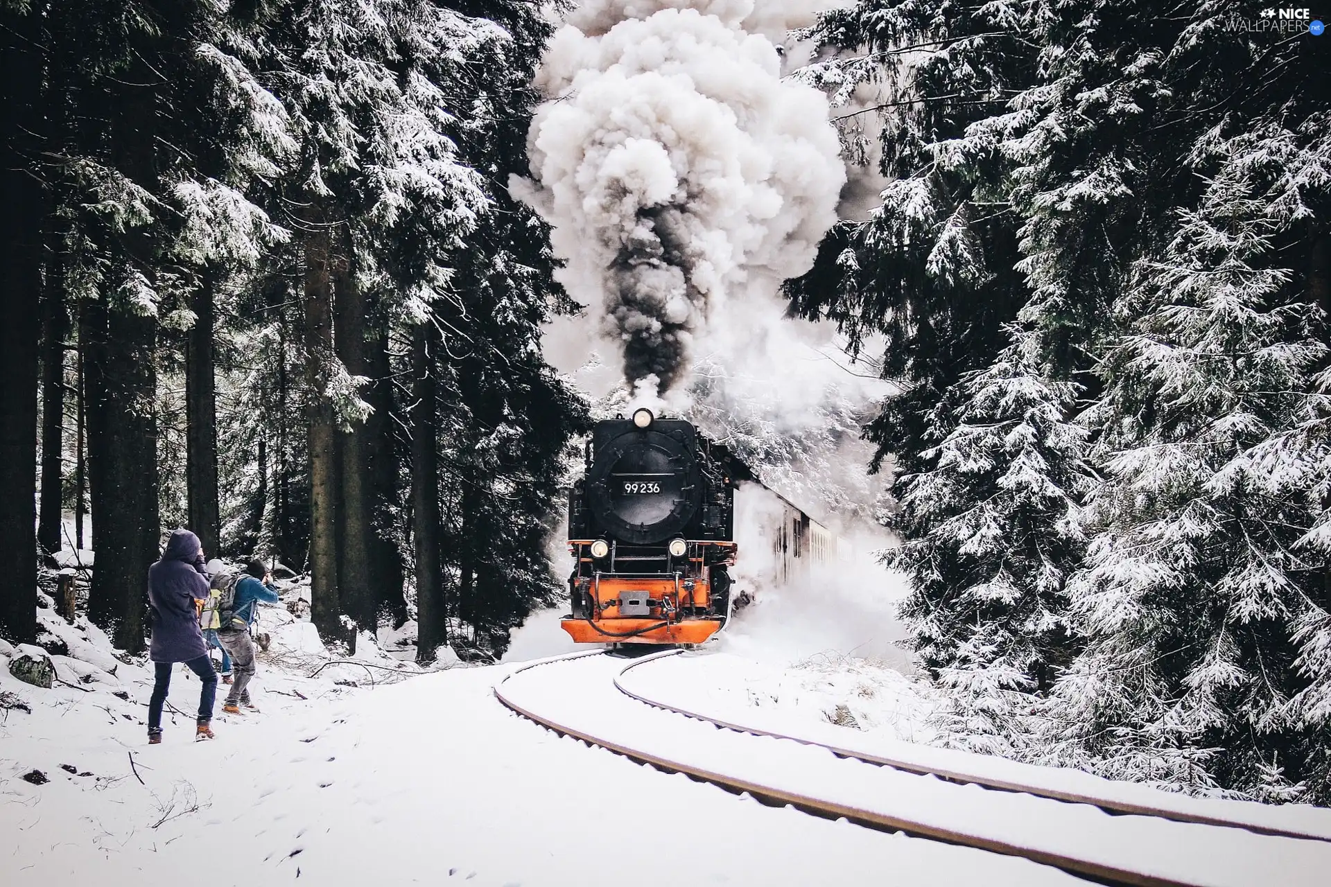 snow, Train, forest, People, winter