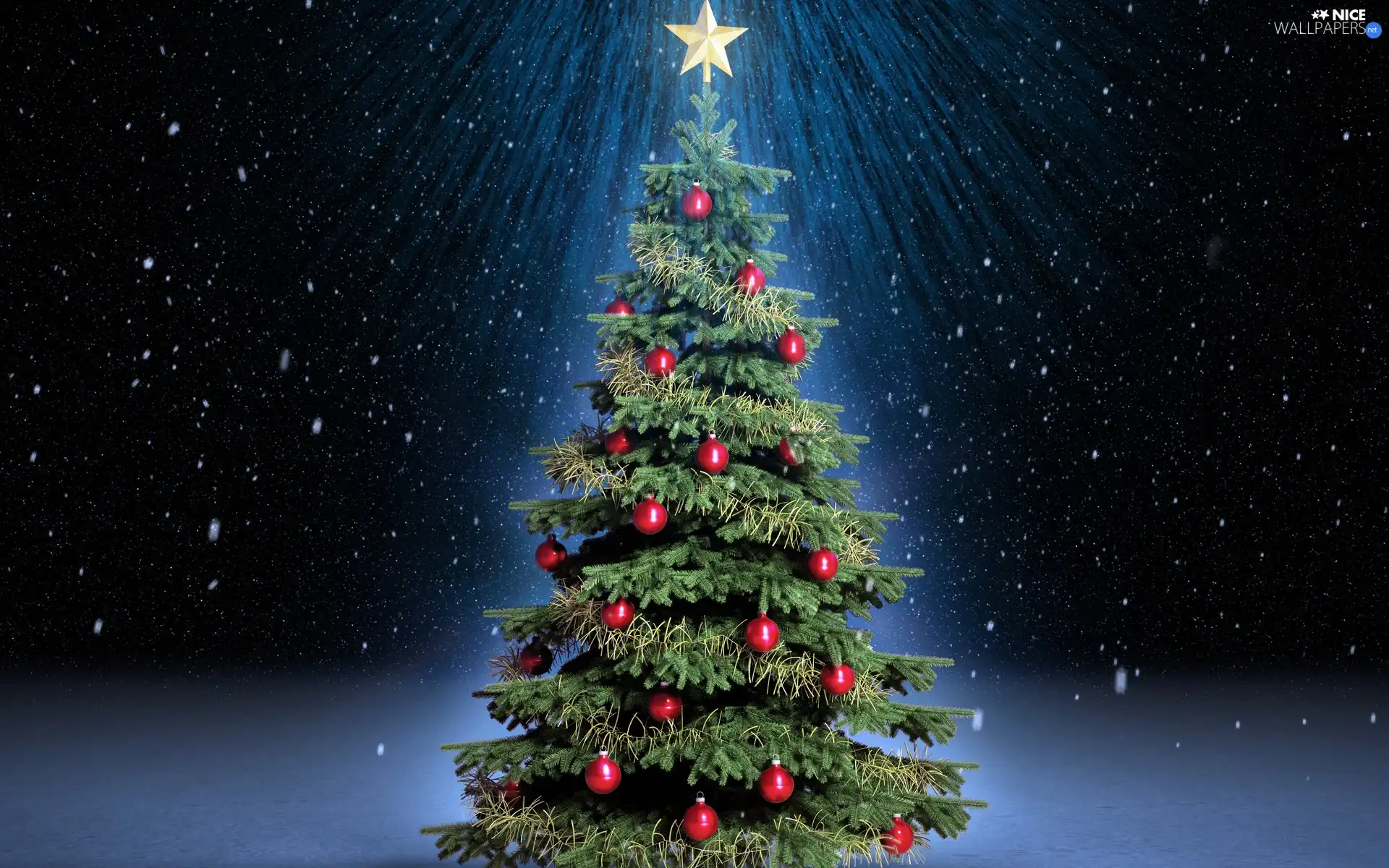 christmas tree, starfish, snow, Christmas