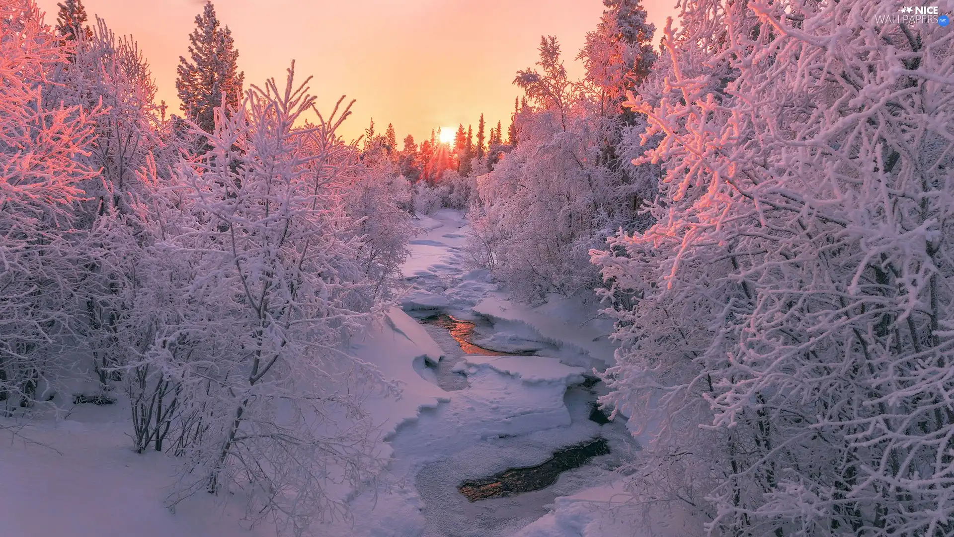 Sunrise, winter, viewes, Snowy, trees, River