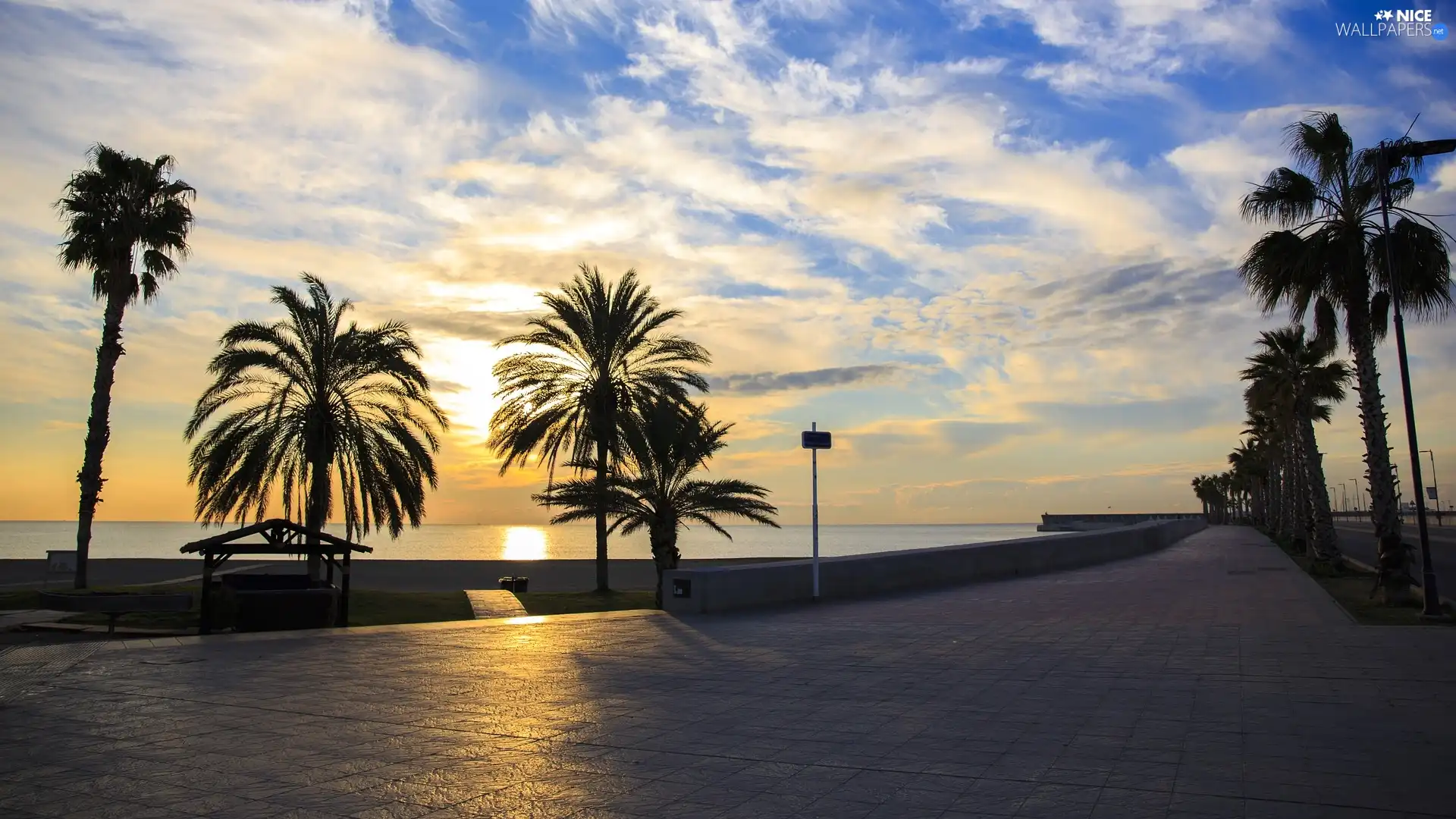 Sunrise, Palms, Malaga, Spain, Mediterranean, promenade
