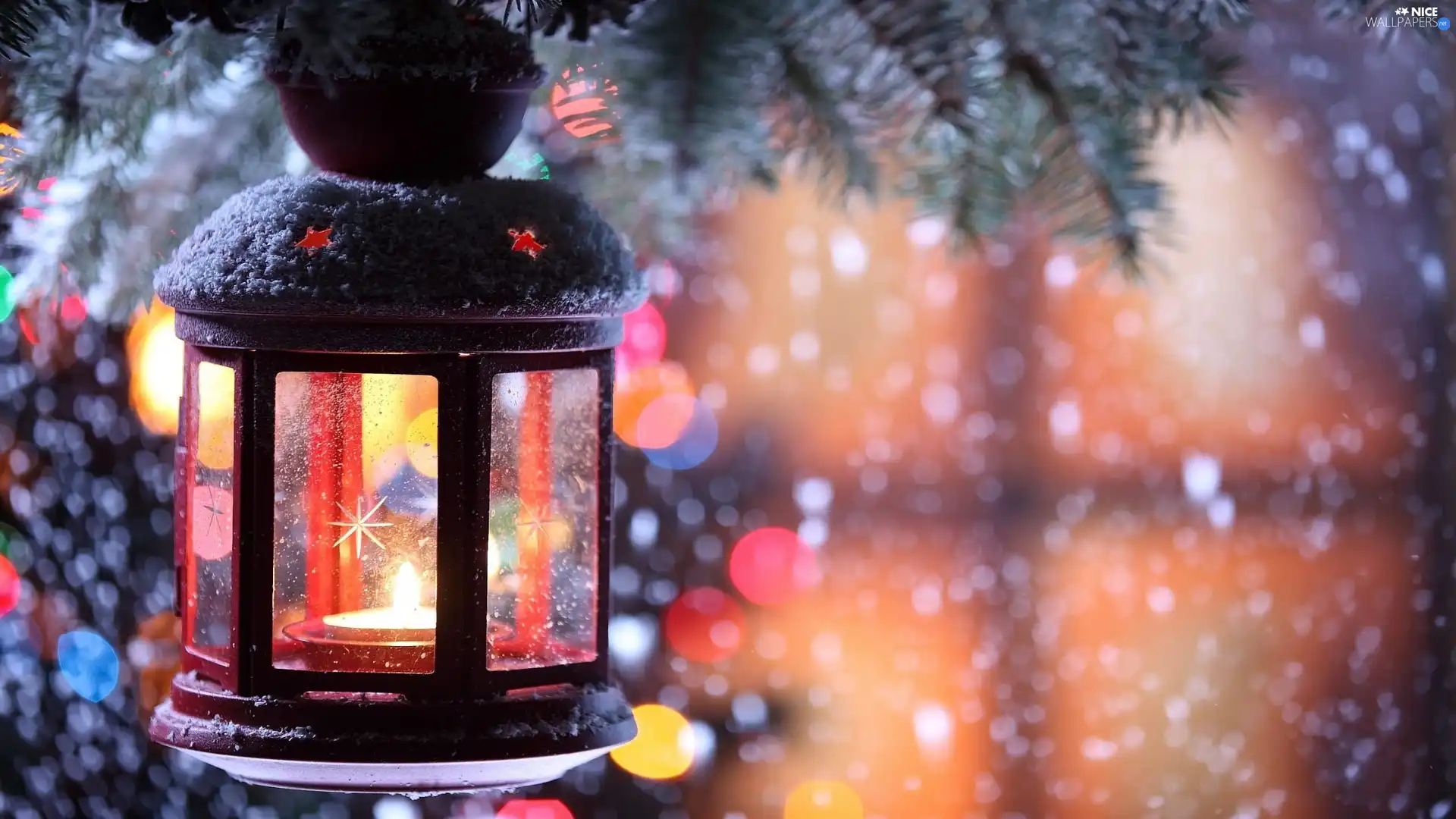ornamentation, lantern, spruce, Christmas