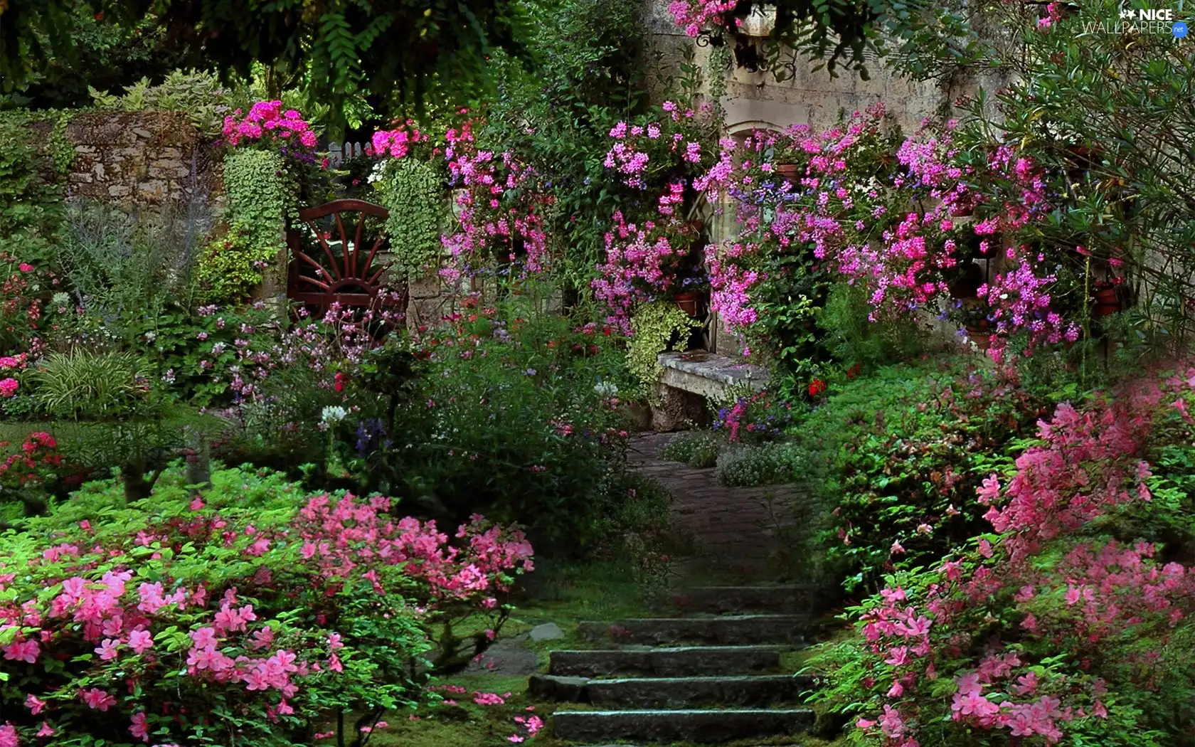 Stairs, Garden, Flowers