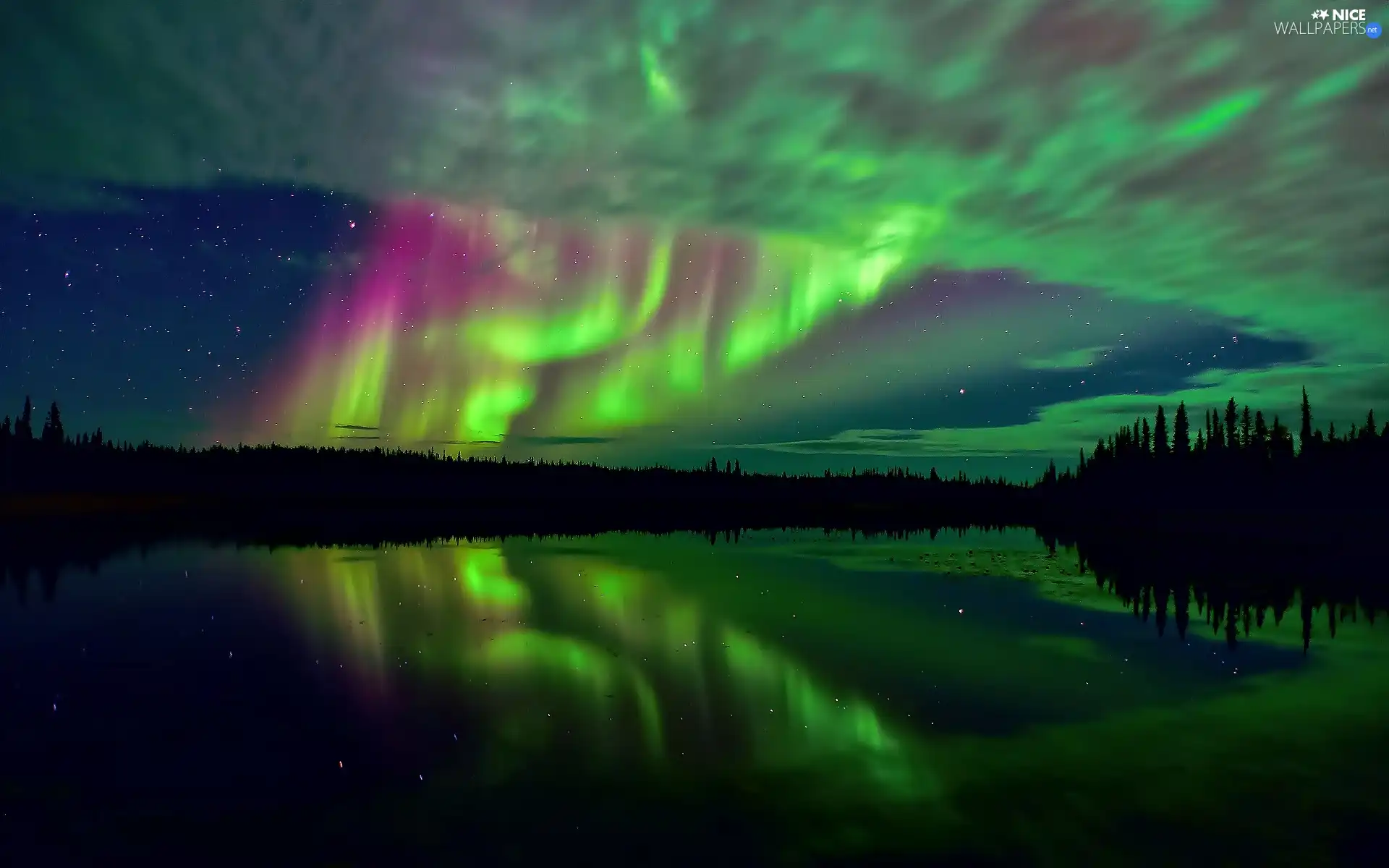 aurora polaris, forest, star, lake