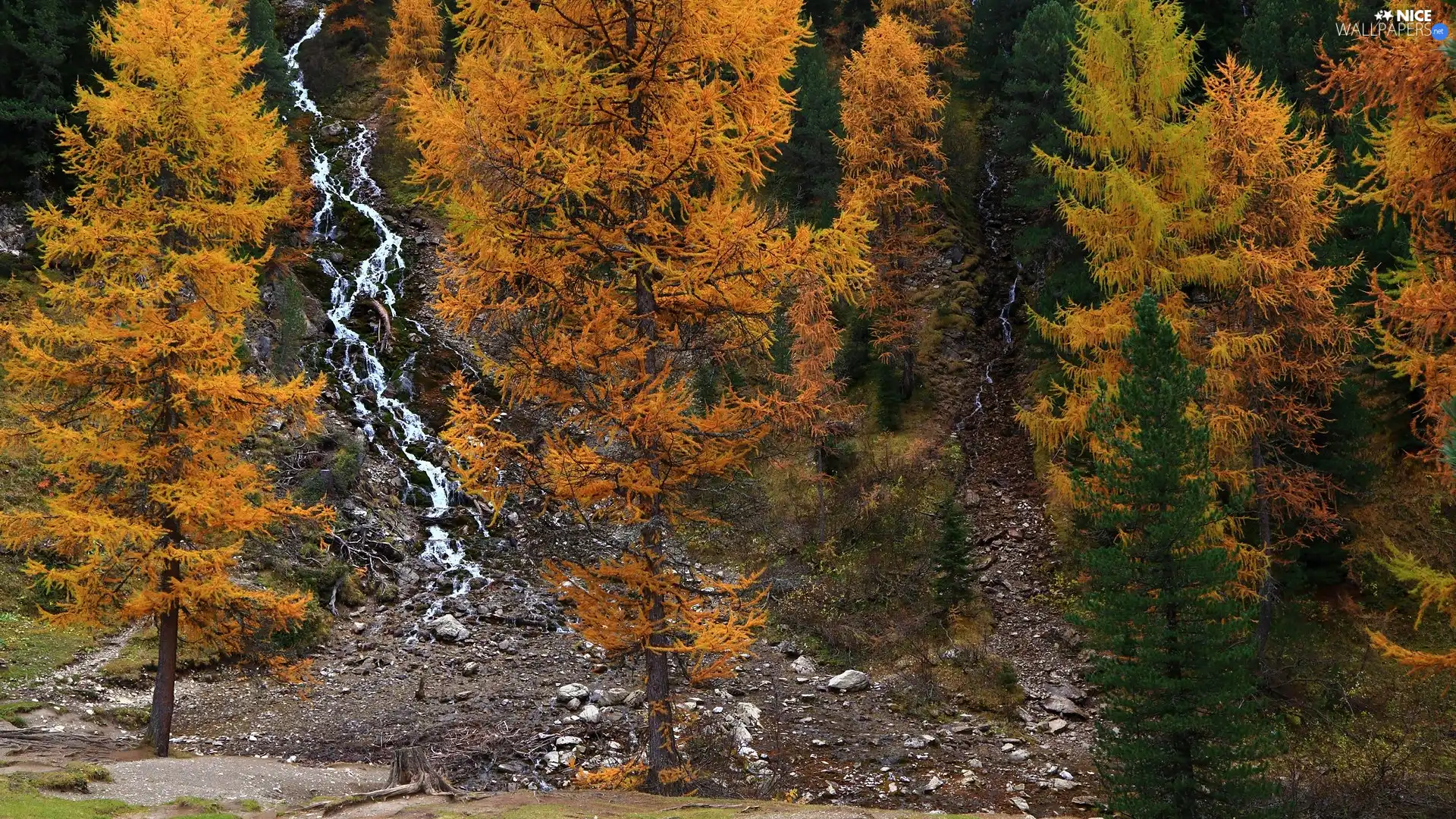 trees, autumn, waterfalls, Stones, viewes, forest