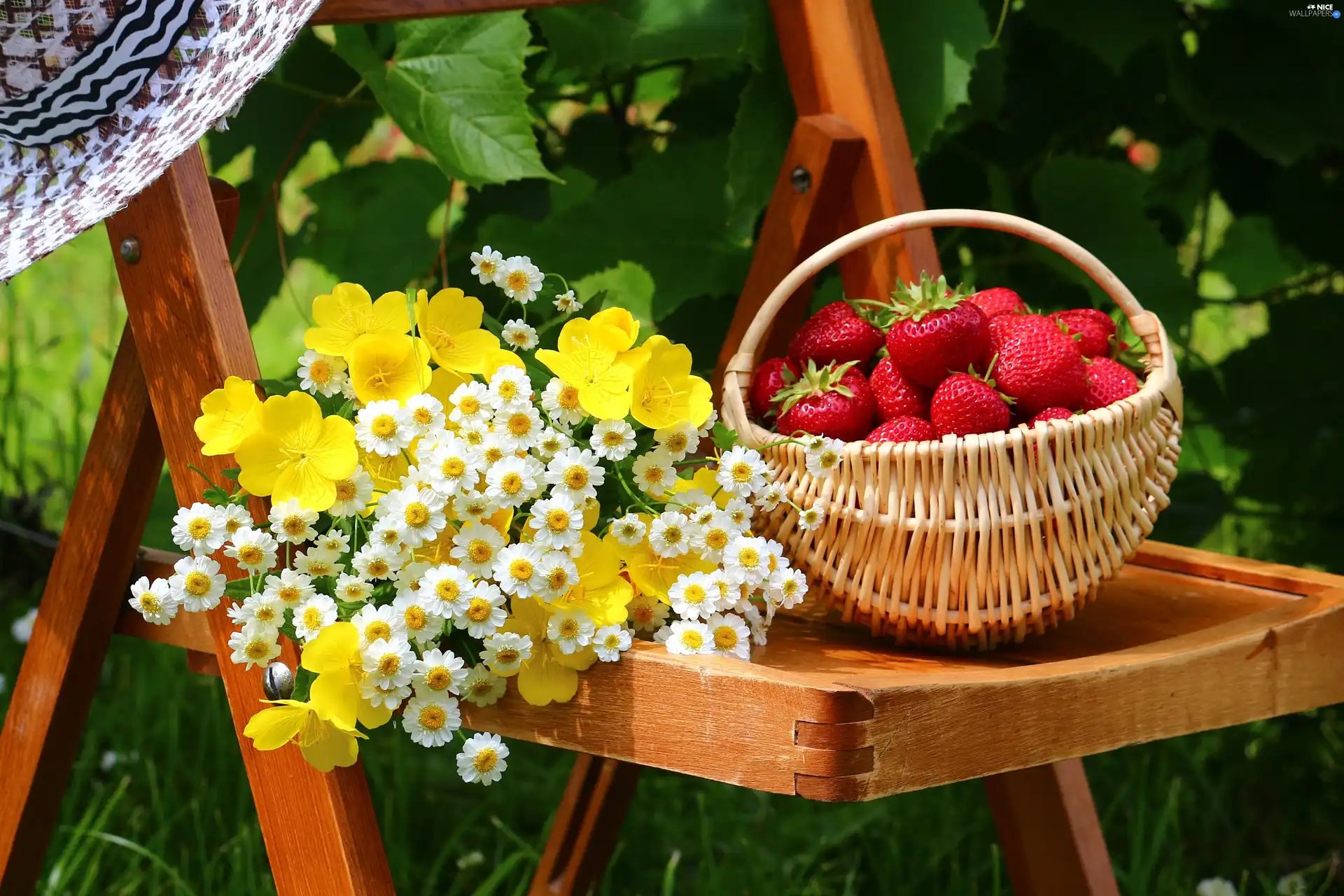Chair, basket, strawberries, Flowers