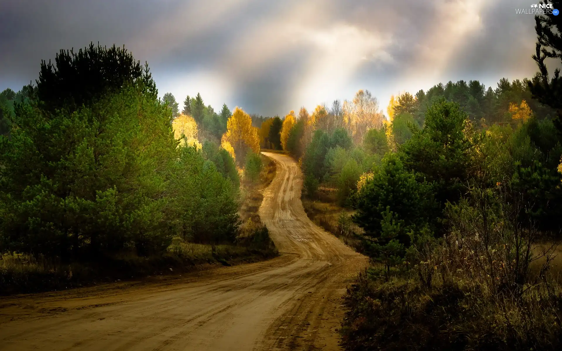 clouds, Way, sun, autumn, rays, forest