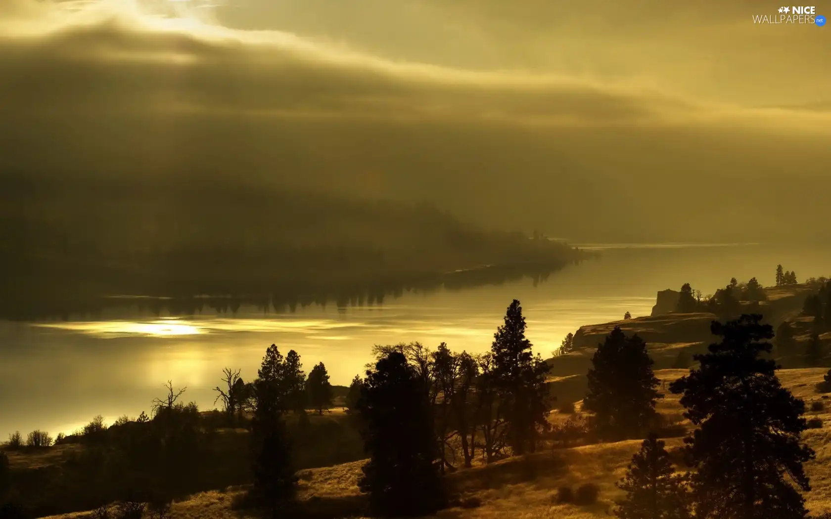 flash, sun, luminosity, Fog, viewes, morning, ligh, River, autumn, Przebijające, trees, Mountains
