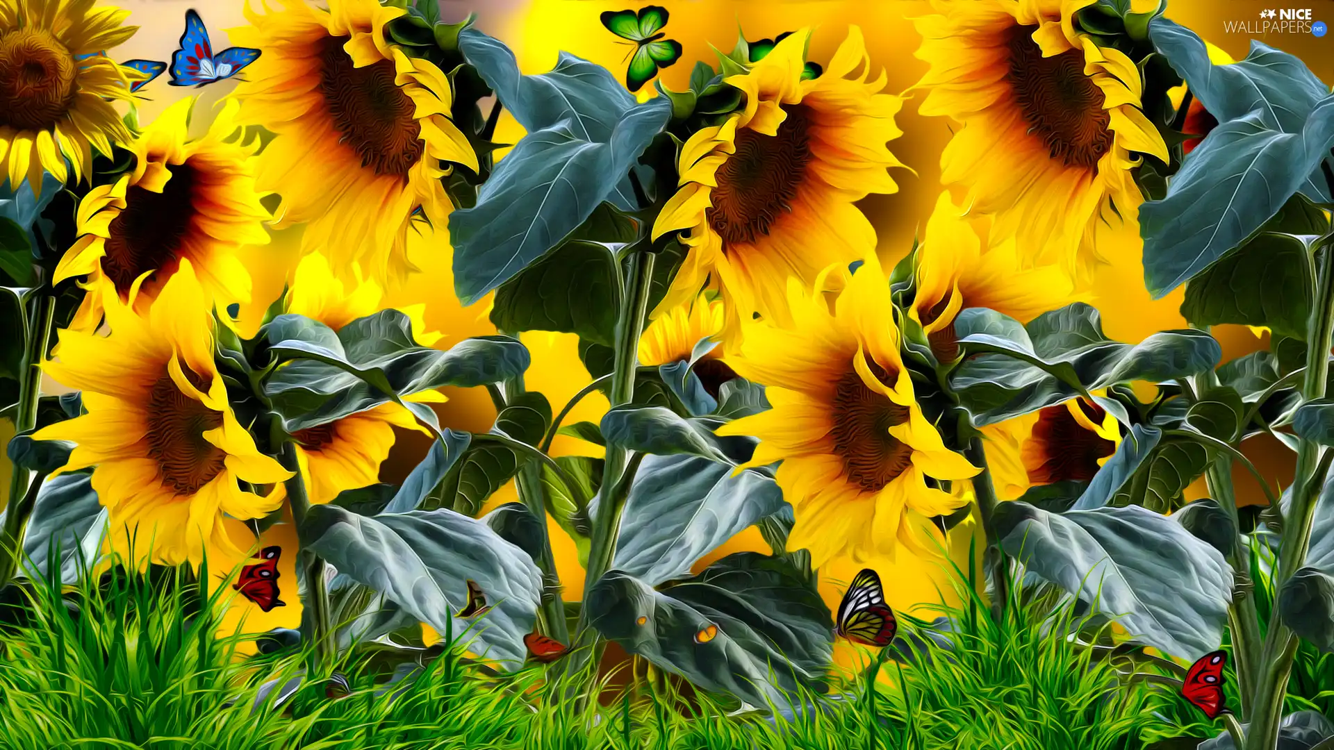 Nice sunflowers, grass, graphics, butterfly