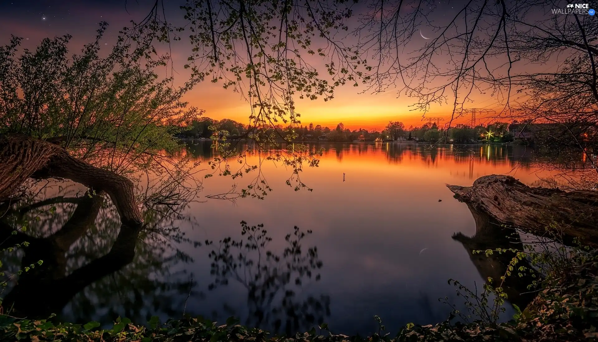 trees, viewes, Great Sunsets, Houses, lake