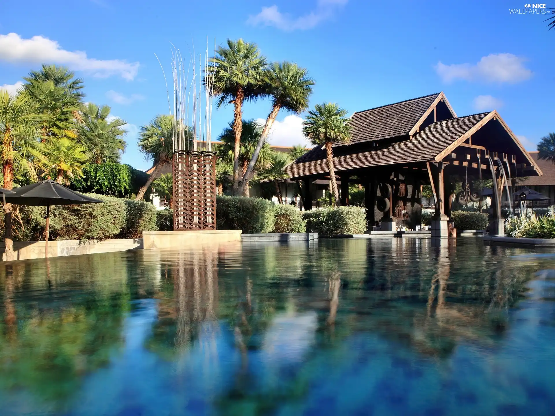 house, Palms, Thailand, Pool