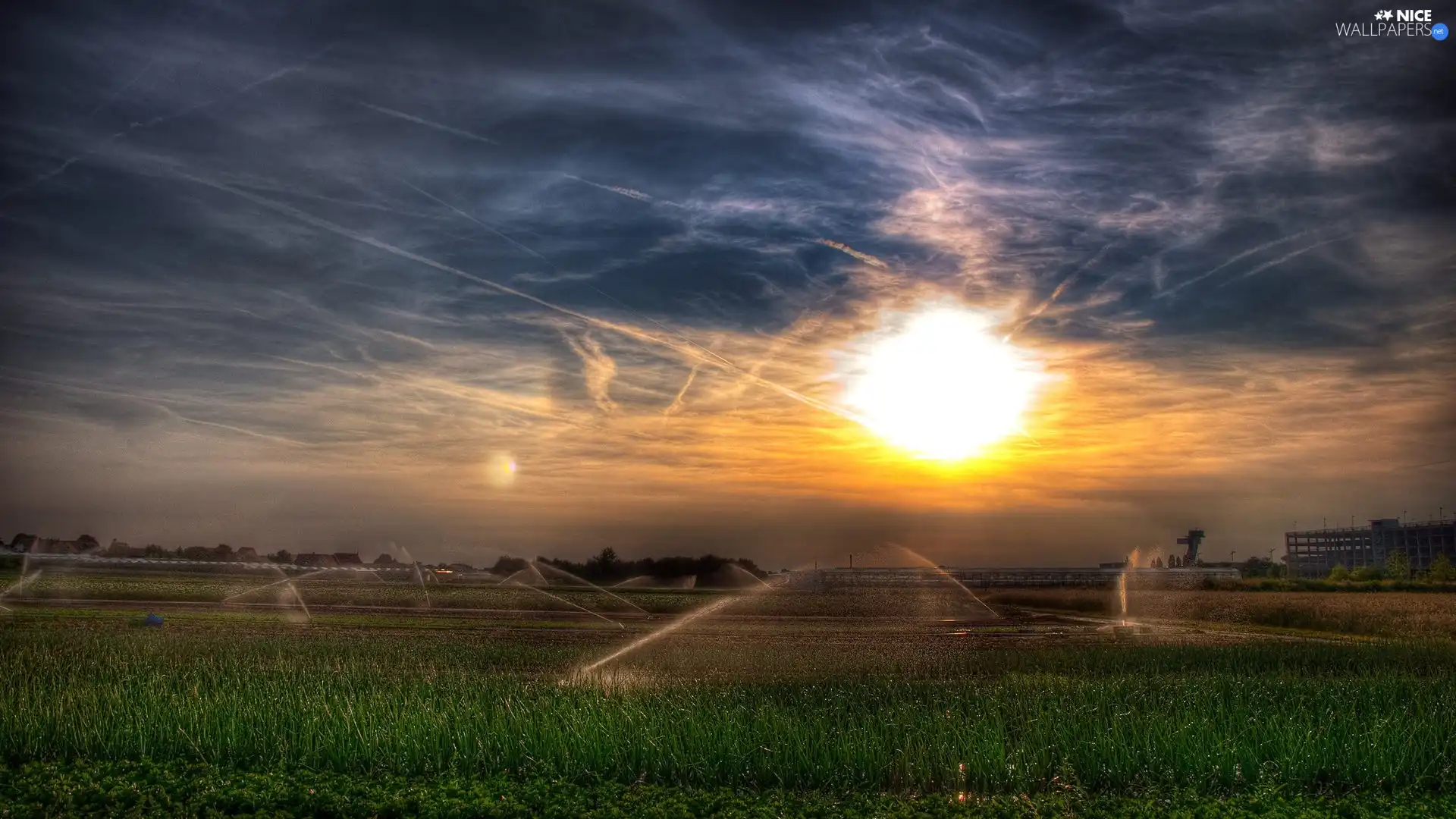 The setting, sun, Sprinkler, Sky, Field