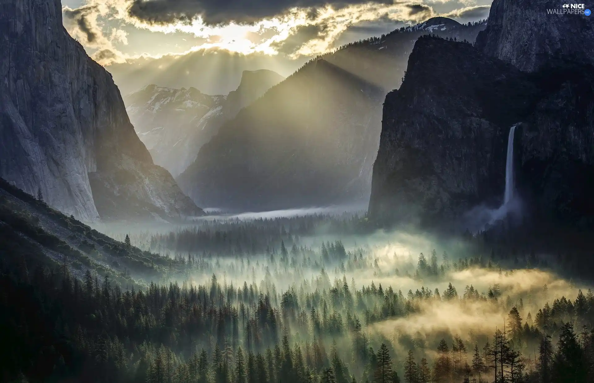 Yosemite National Park, Mountains, Sunrise, forest, Fog, State of California, The United States, waterfall