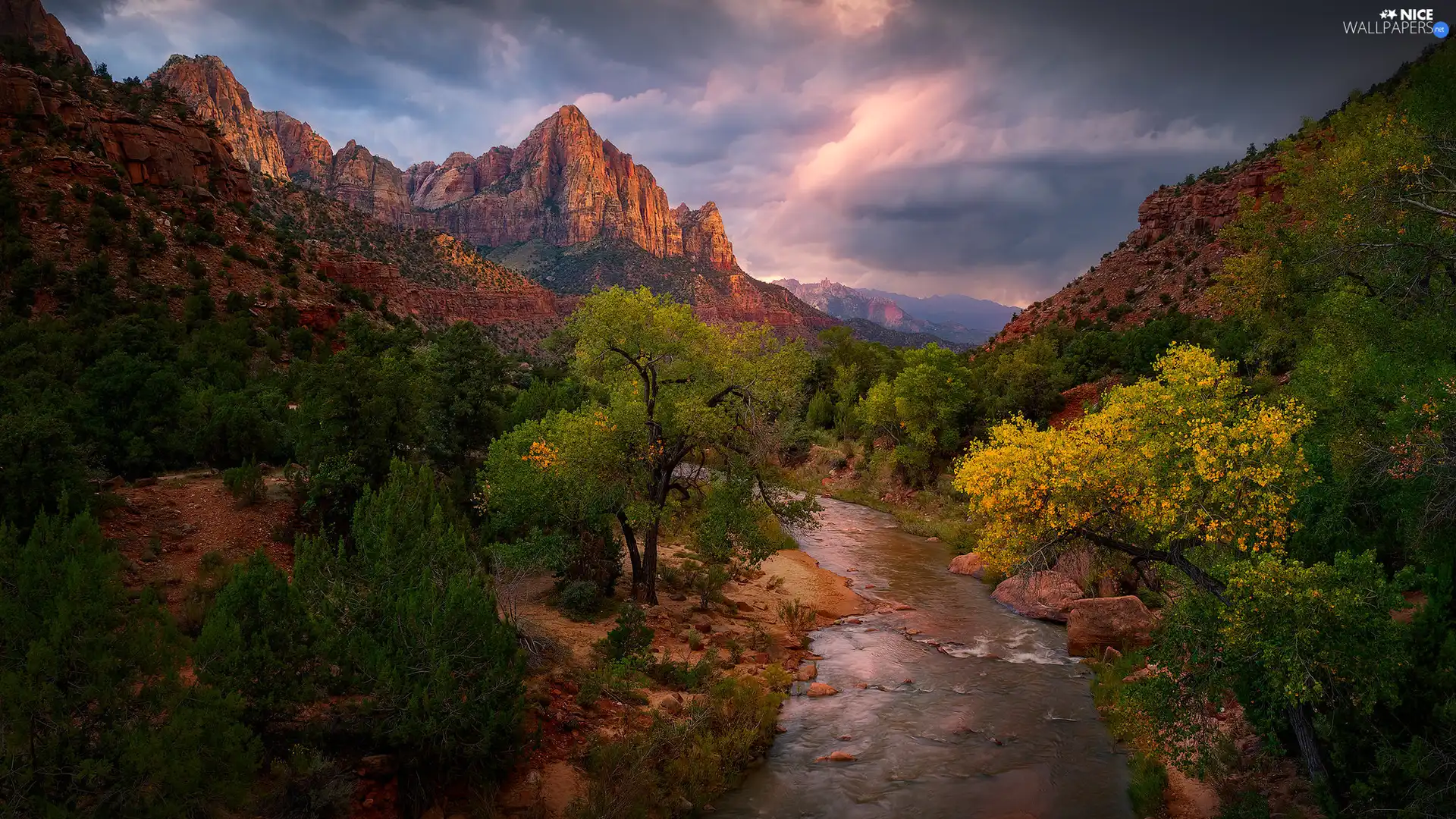 Mountain Watchman, Mountains, River, Virgin River, Utah, The United States, viewes, Zion National Park, trees