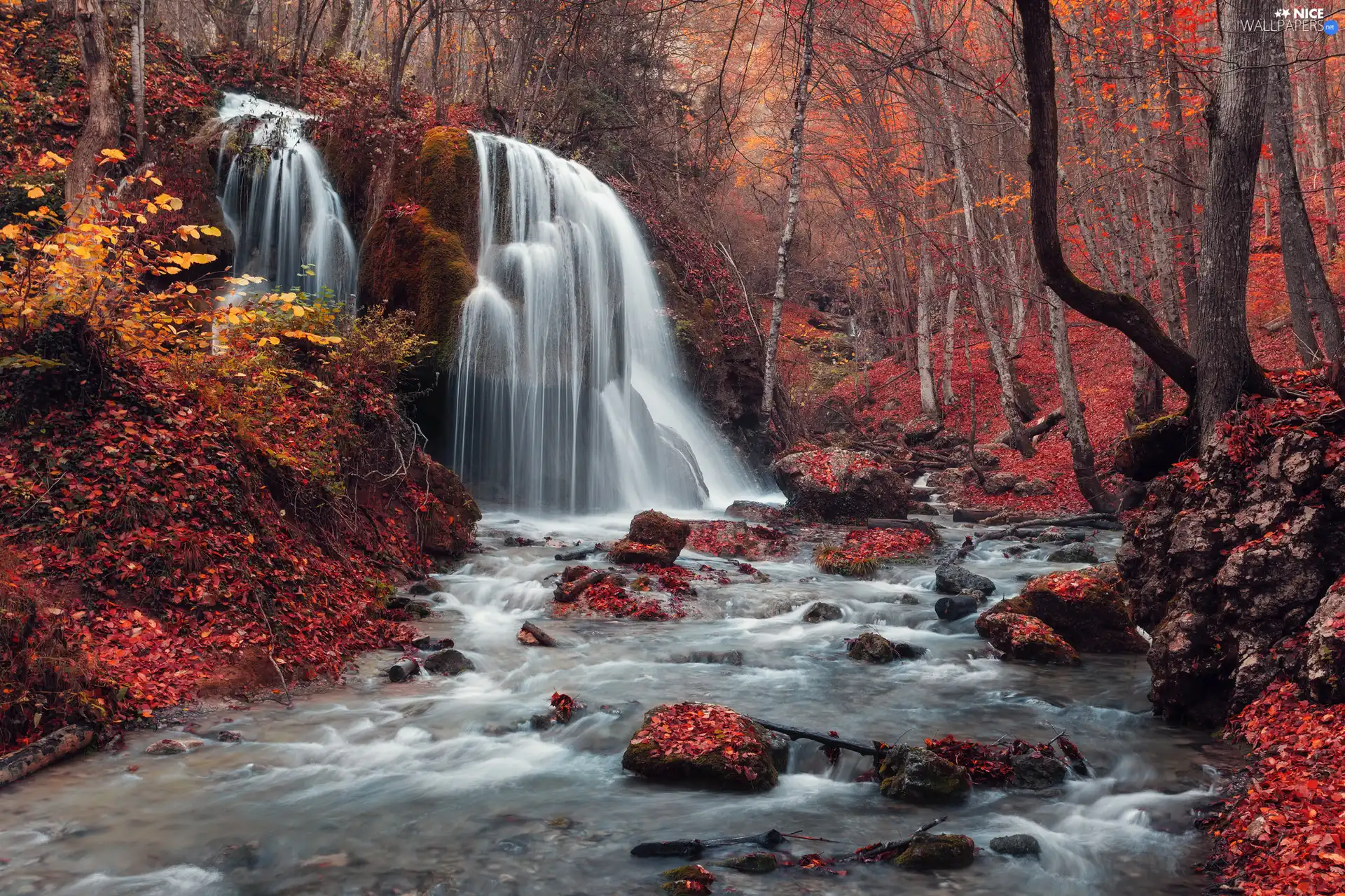 Stones, Leaf, autumn, forest, viewes, waterfall, River, trees