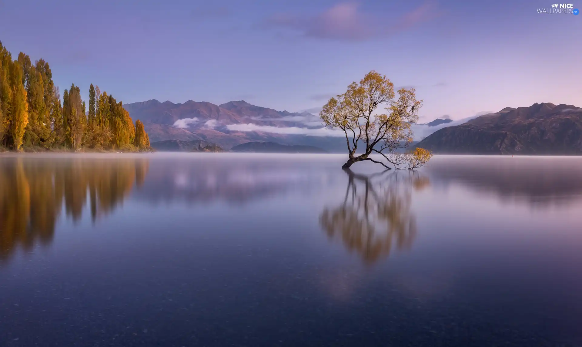 Mountains, Wanaka Lake, reflection, New Zeland, autumn, trees