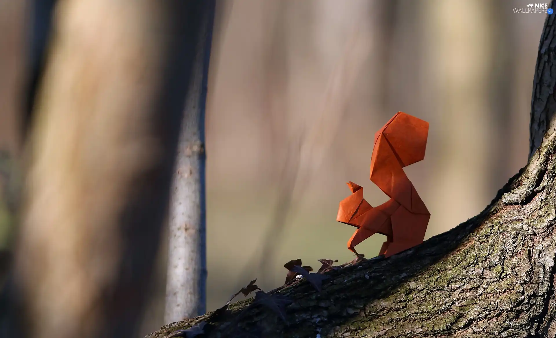 trees, Origami, squirrel
