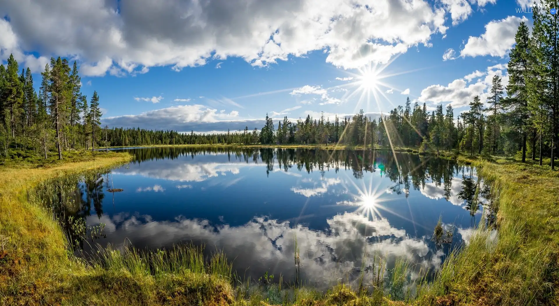 reflection, lake, trees, viewes, Mirror, clouds