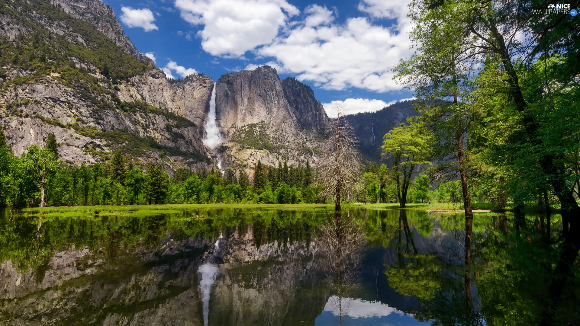 viewes, Mountains, Yosemite Falls, California, green ones, Yosemite National Park, Sierra Nevada, The United States, River, trees