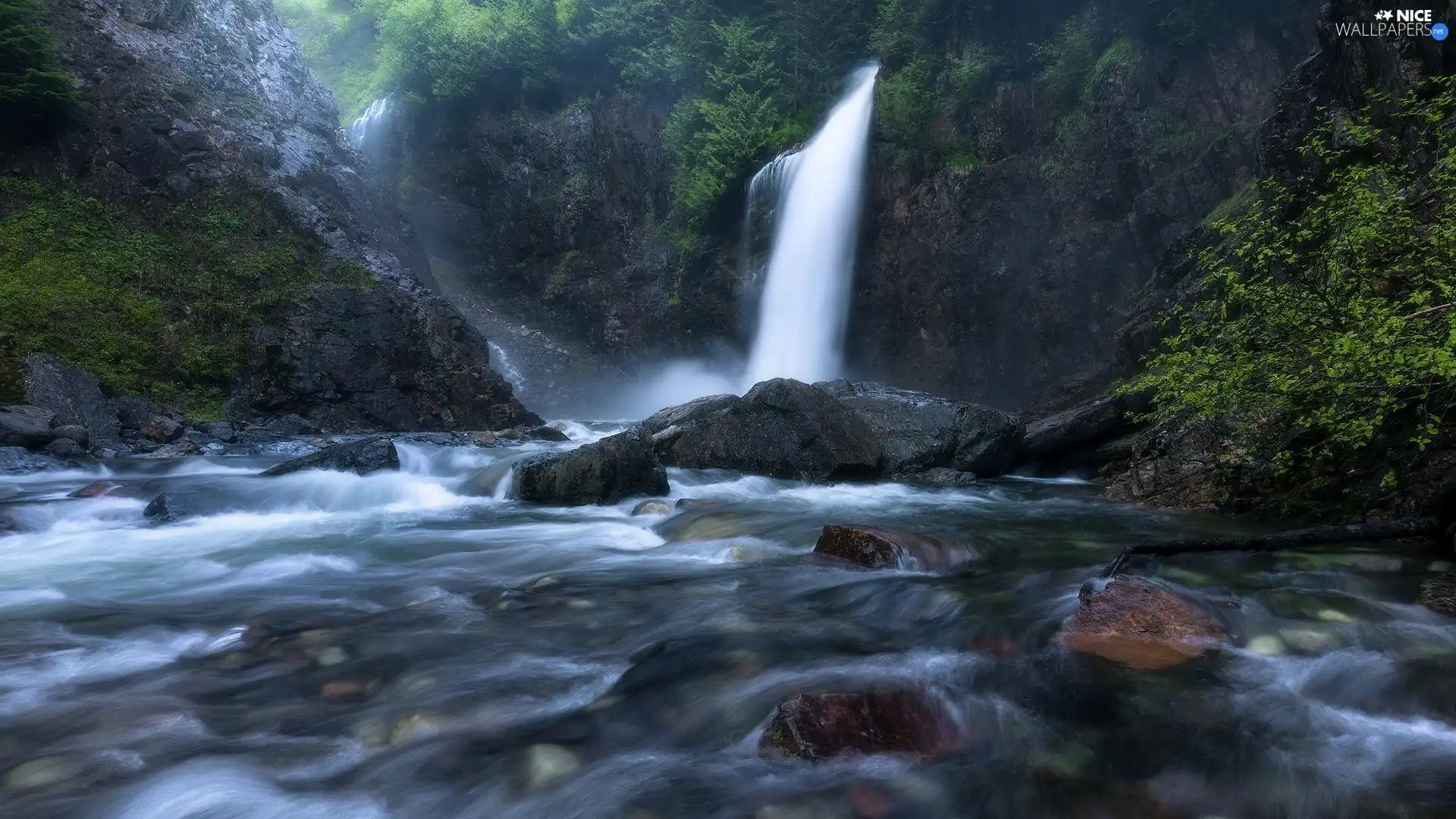 River, waterfall, Stones, Twigs, forest, rocks