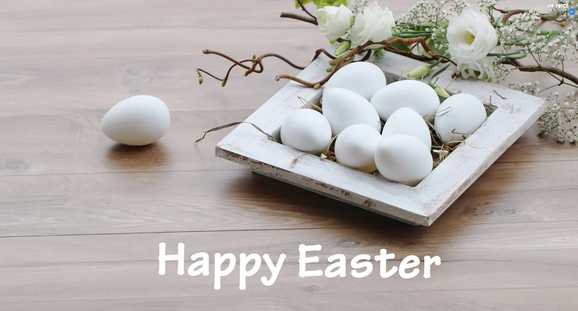 eggs, Easter, Flowers, Twigs, White, text