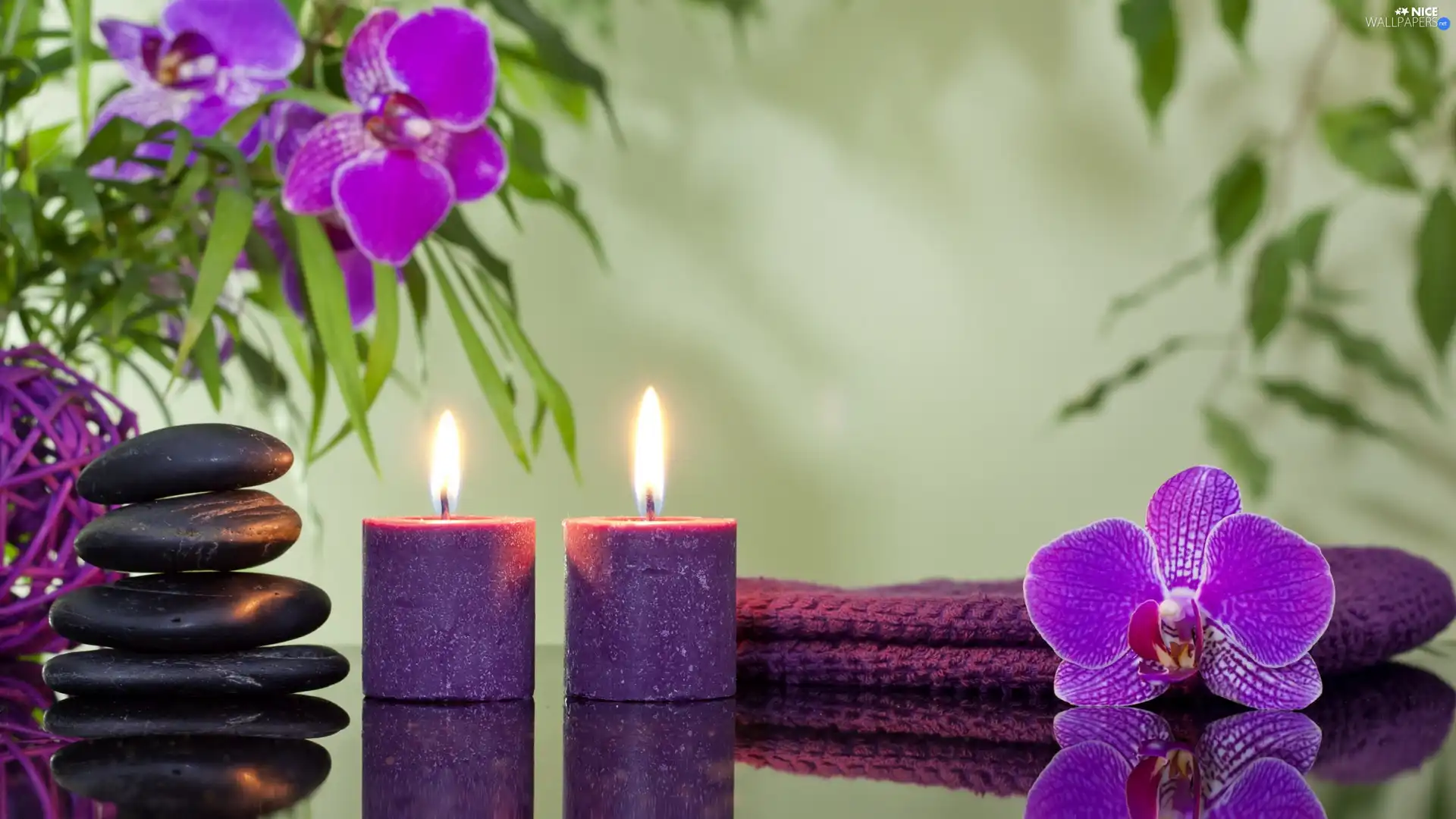 orchids, Spa, Candles, purple, composition, Two, Stones