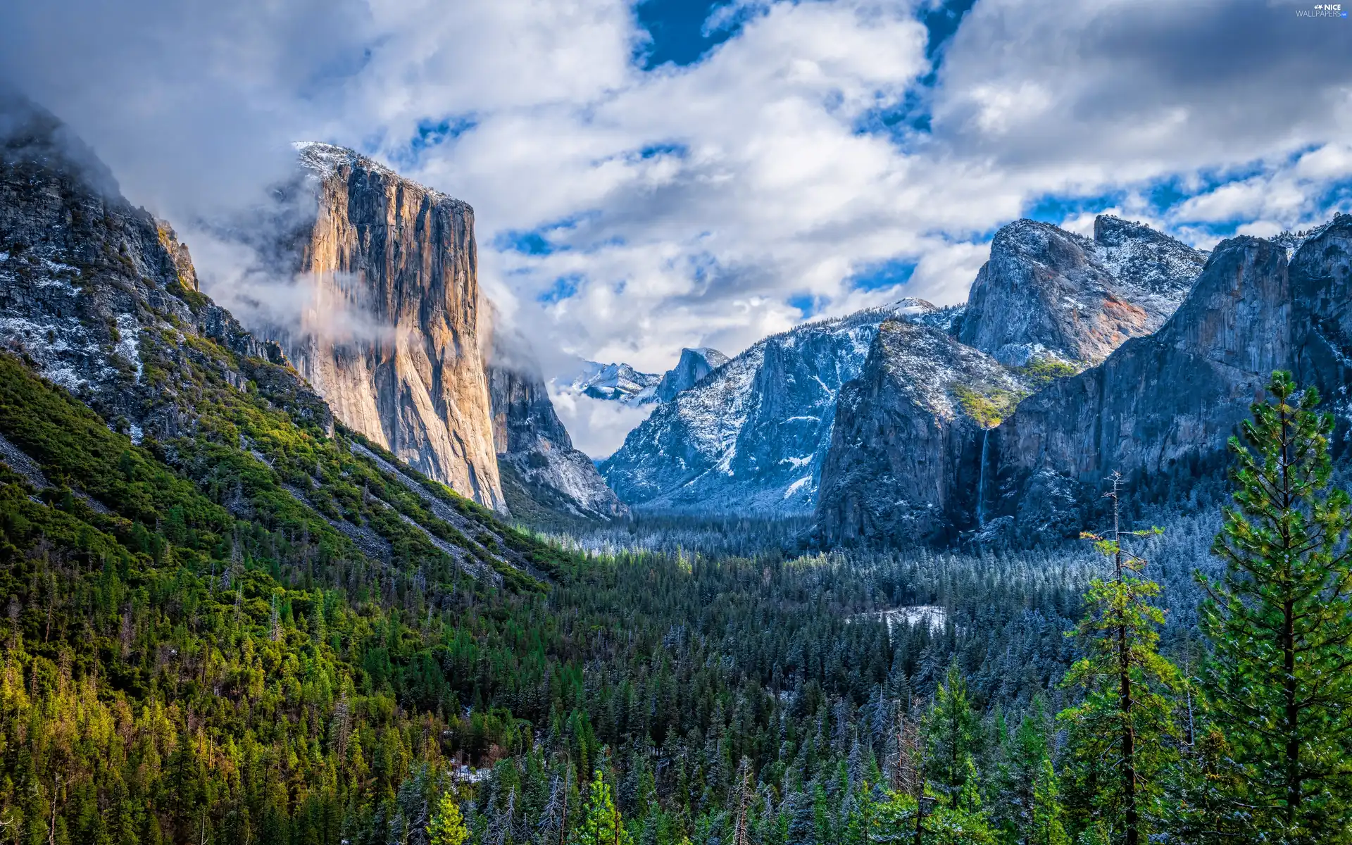 Sierra Nevada Mountains, California, clouds, Yosemite Valley, The United States, woods, Yosemite National Park