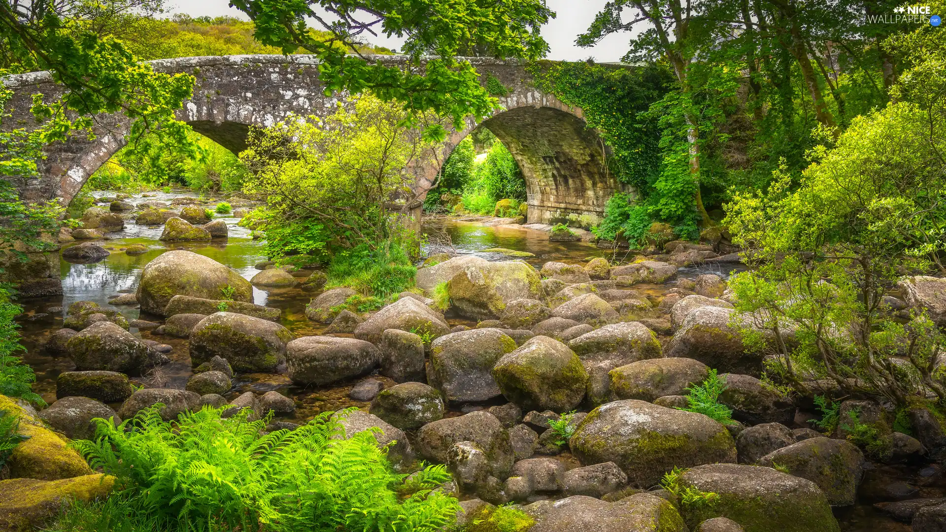 Stones, River, trees, viewes, fern, bridge