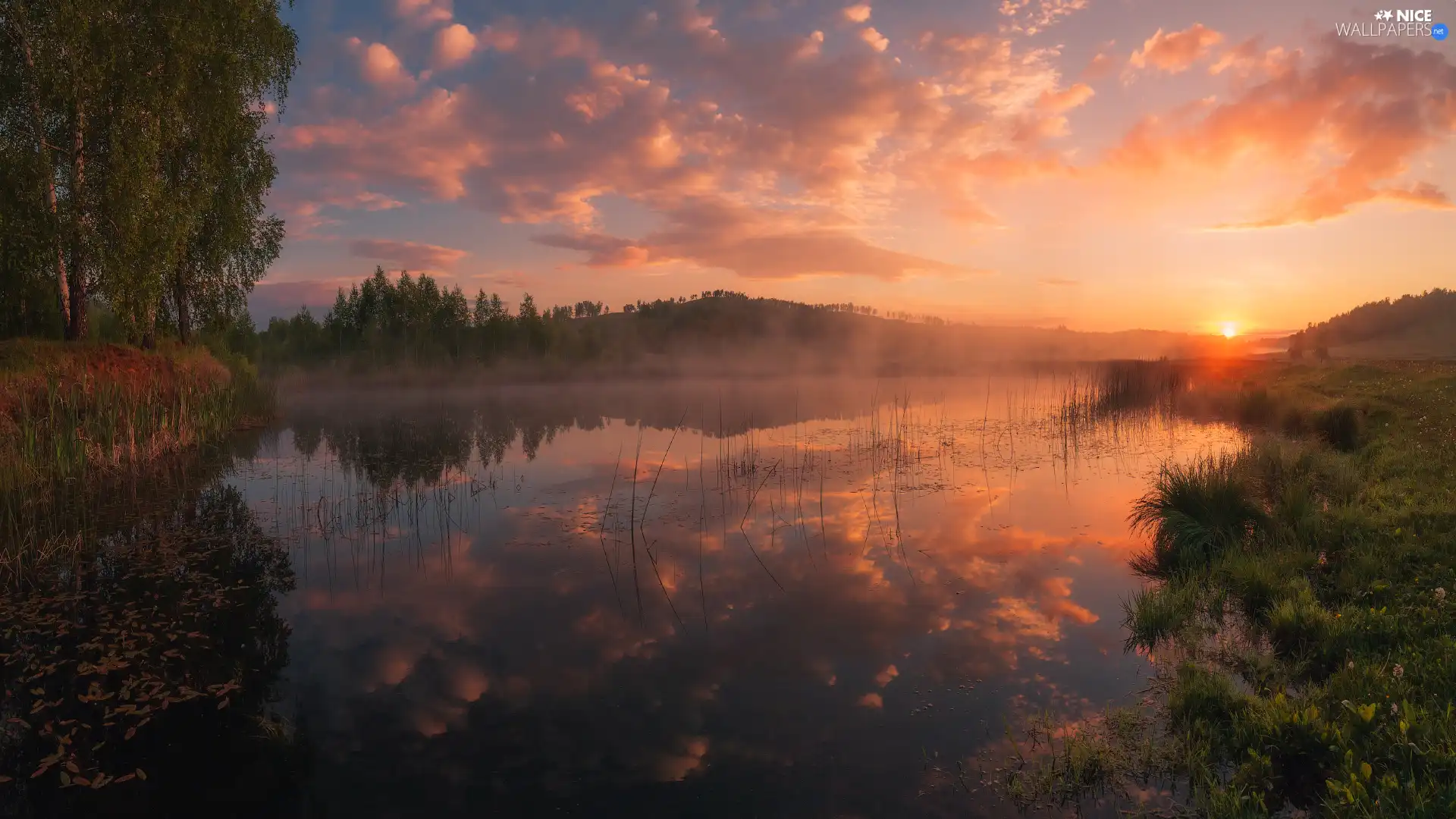 Fog, trees, clouds, viewes, lake, Sunrise, reflection