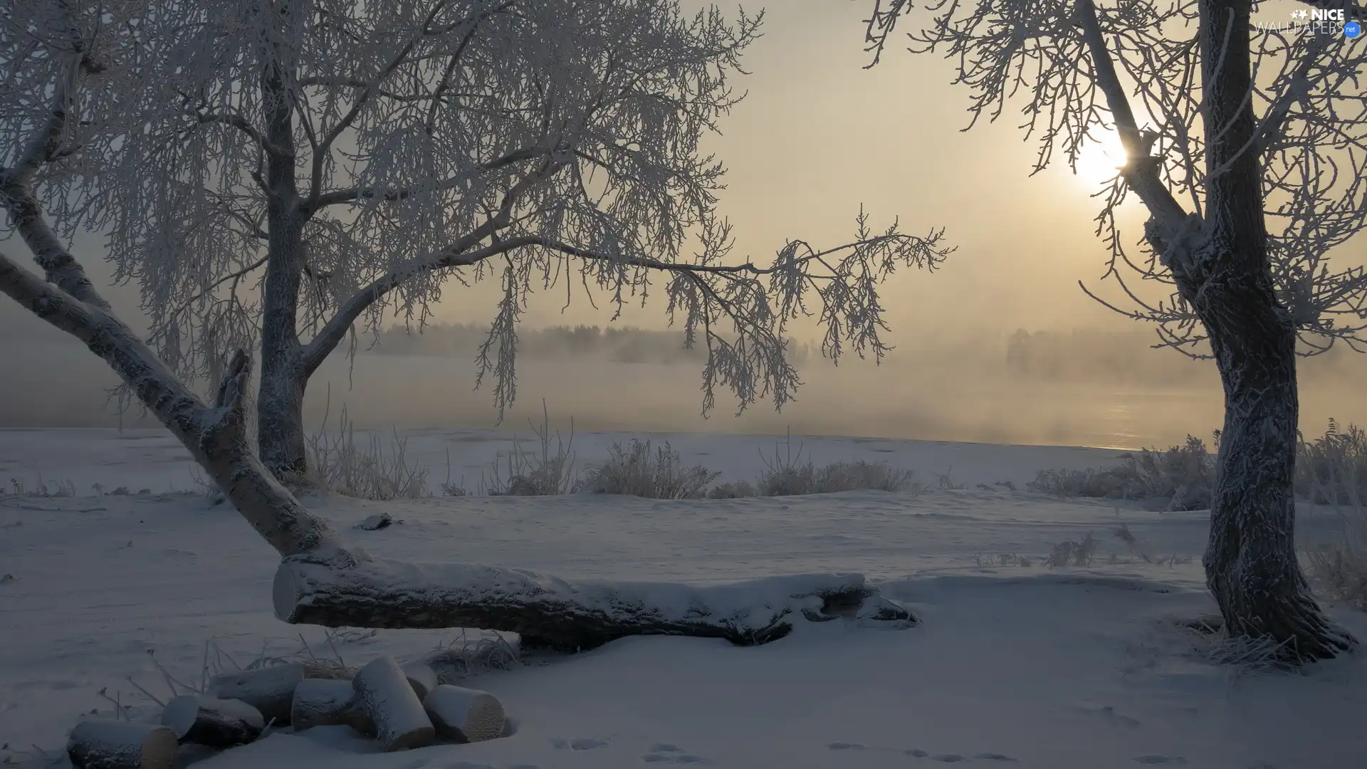 River, frosty, log, trees, laying, Fog, winter, viewes