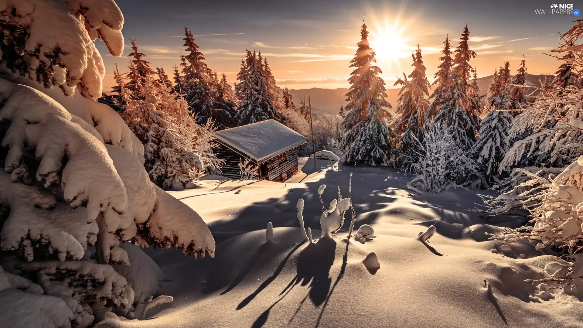 forest, Snowy, Sunrise, trees, house, Mountains, winter, viewes