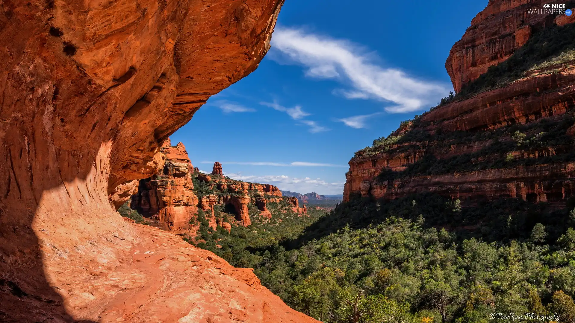 viewes, rocks, Arizona, trees, Red, Sedona, The United States