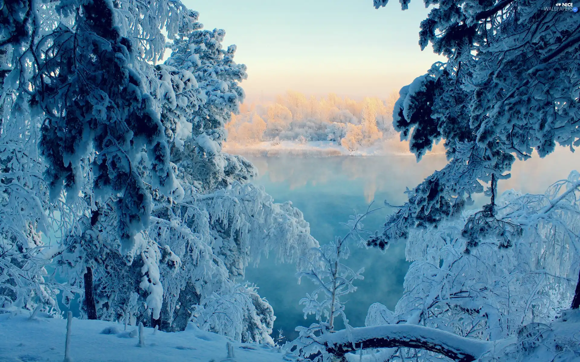 viewes, winter, Snowy, trees, lake