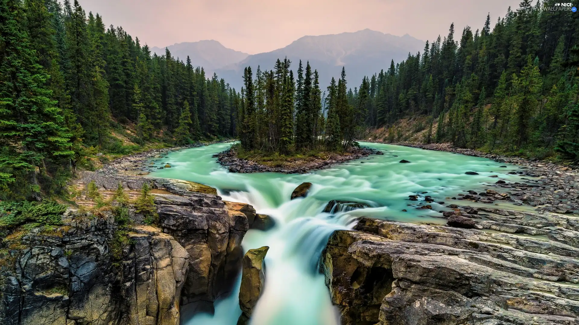 Sunwapta River, Sunwapta Waterfall, forest, trees, Alberta, Canada, Mountains, Jasper National Park, viewes