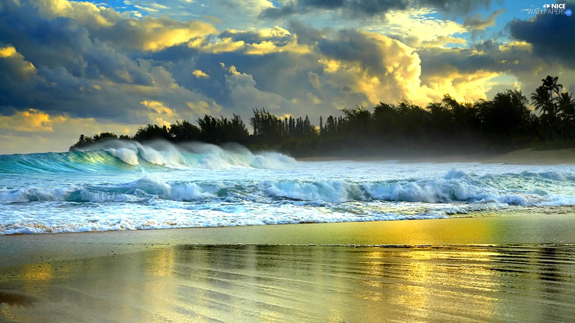 Waves, sea, Beaches