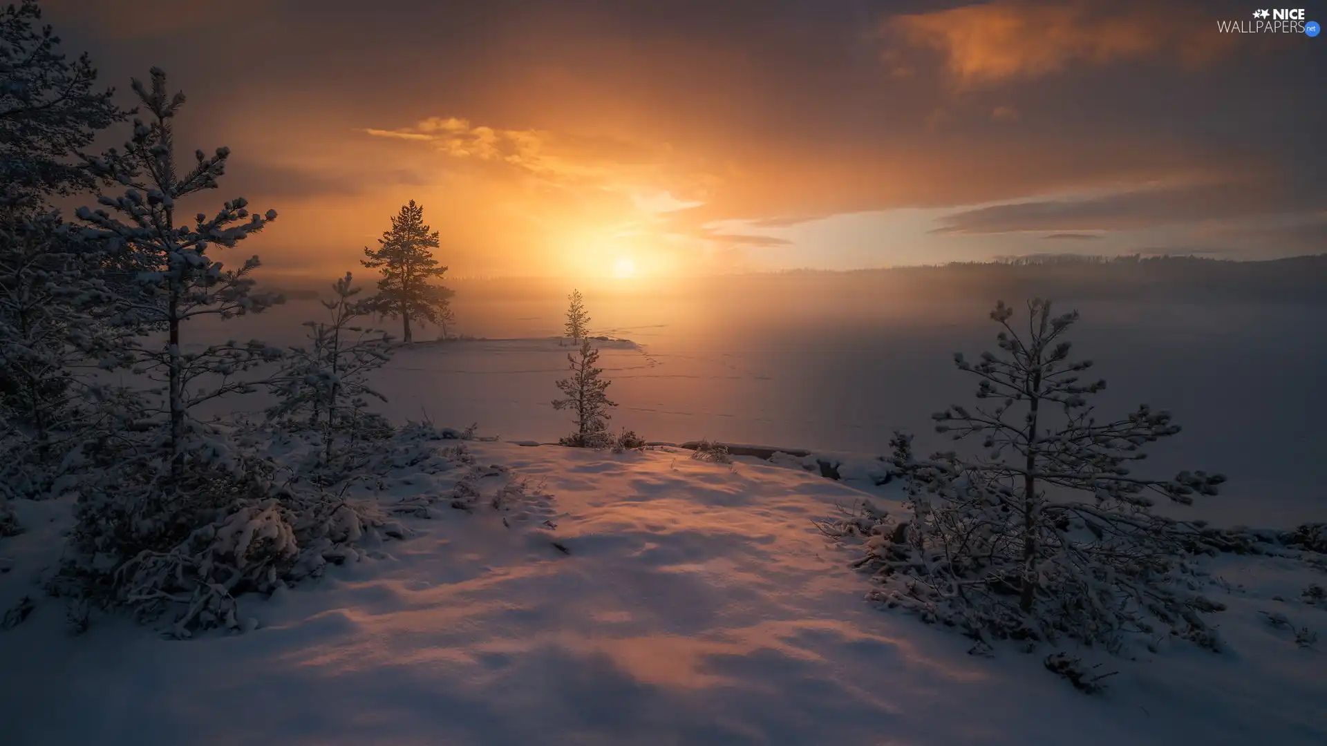 winter, Great Sunsets, lake, snow, viewes, Ringerike, Norway, trees