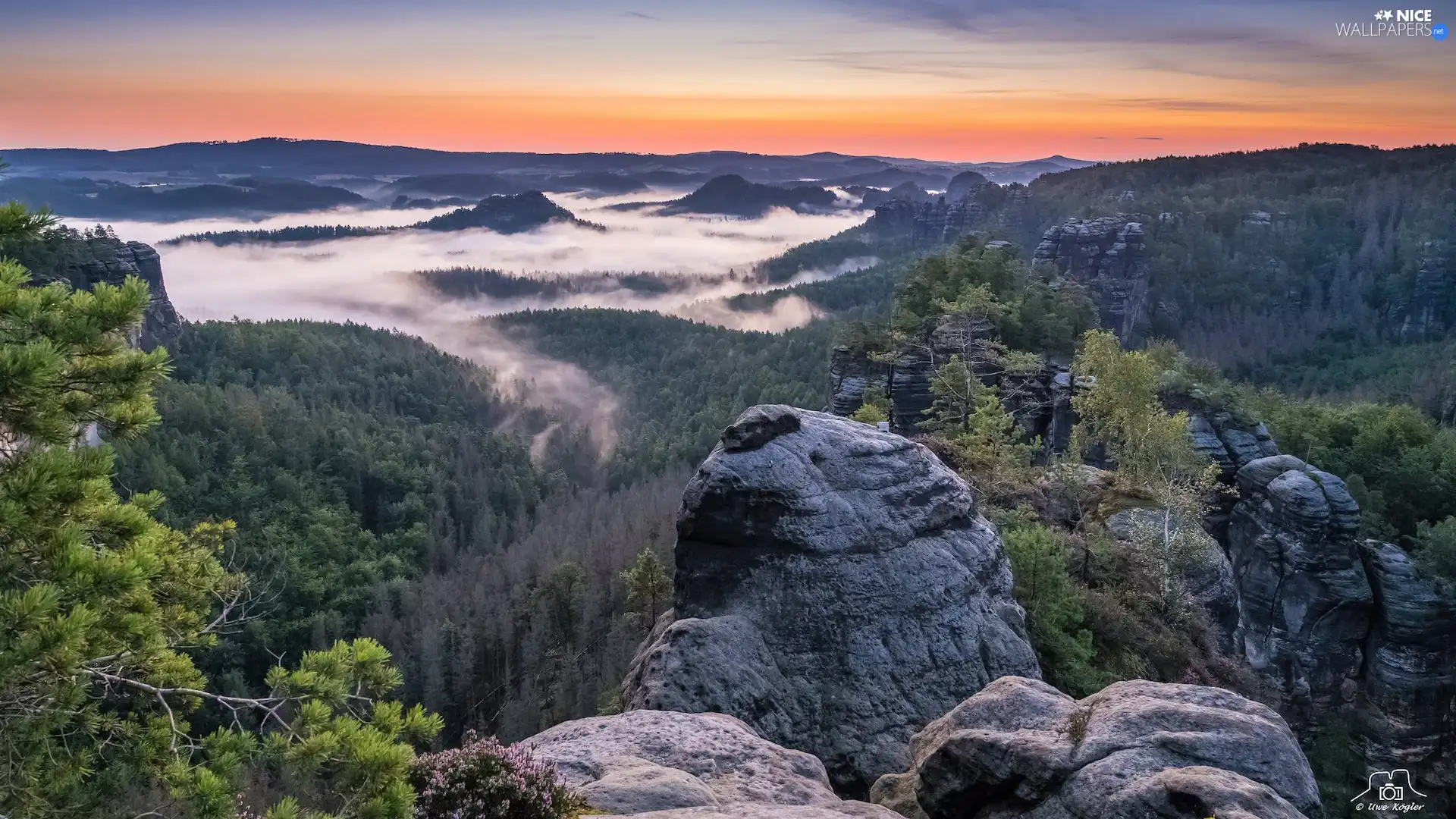 rocks, Saxon Switzerland National Park, Děčínská vrchovina, woods, Fog, Germany, viewes, Sunrise, trees