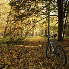 autumn, Bike, trees, viewes, Park