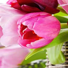 basket, Pink, Tulips