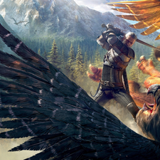 The Witcher 3 Wild Hunt, game, Bird, Fight, Geralt of Rivia, The Witcher 3 Wild Hunt