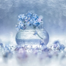 Forget, Flowers, vase, Blue