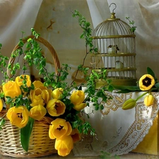 Cage, birds, Yellow, Tulips, basket