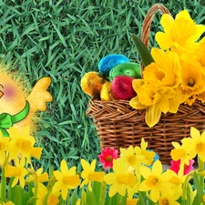 eggs, Easter, chicken, Daffodils, basket, color