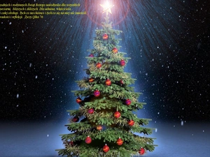 Christmas, christmas tree, users, Tapeciarni, for, Wishes