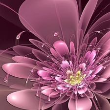 graphics, Pink, Colourfull Flowers