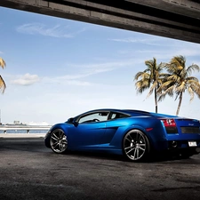Blue, Lamborghini Gallardo