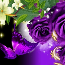 Purple, butterfly, graphics, roses